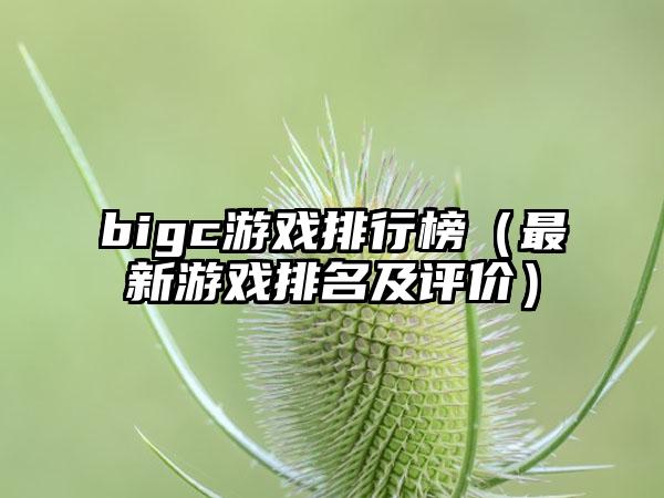 bigc游戏排行榜（最新游戏排名及评价）