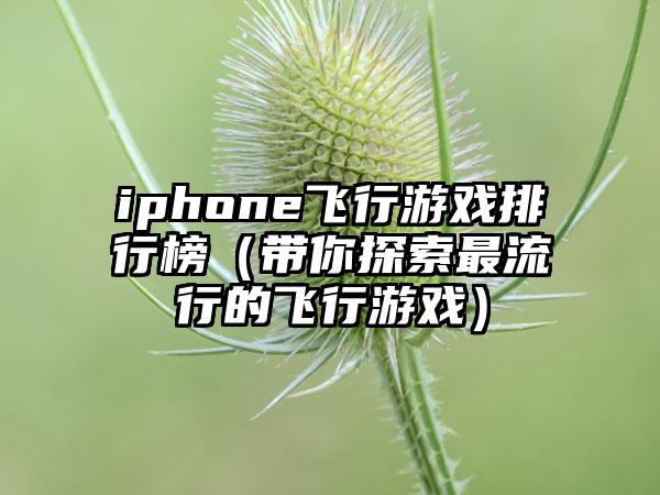 iphone飞行游戏排行榜（带你探索最流行的飞行游戏）