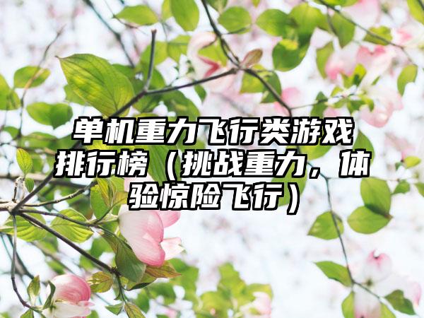 单机重力飞行类游戏排行榜（挑战重力，体验惊险飞行）