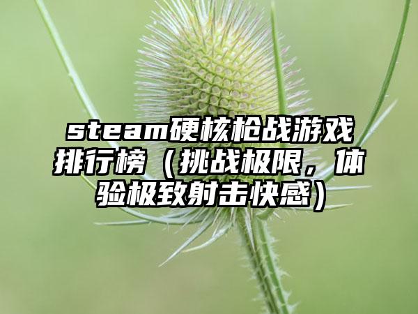 steam硬核枪战游戏排行榜（挑战极限，体验极致射击快感）