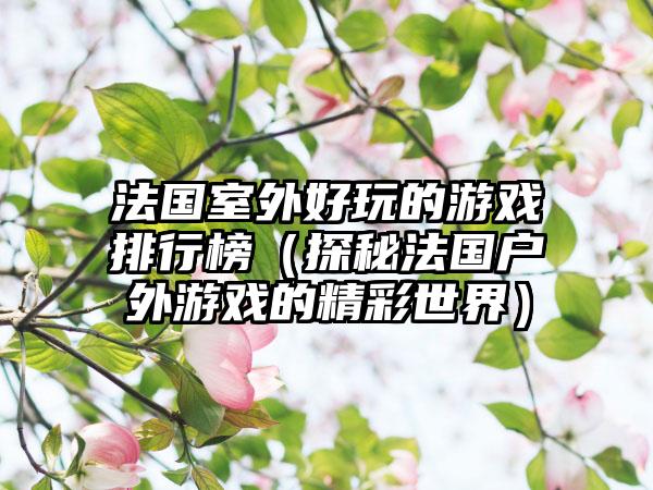 法国室外好玩的游戏排行榜（探秘法国户外游戏的精彩世界）
