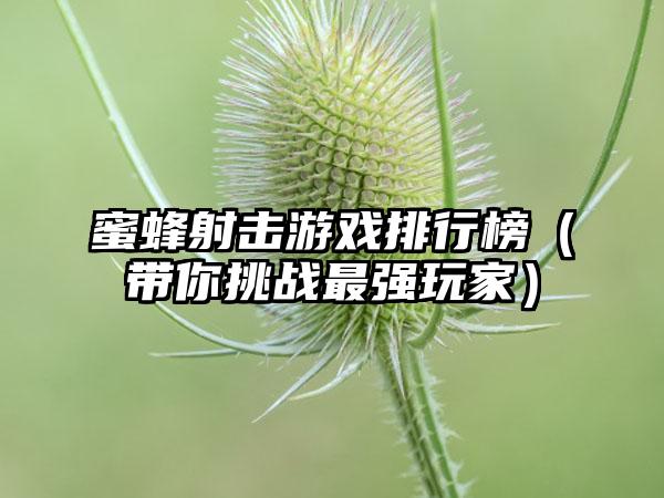 蜜蜂射击游戏排行榜（带你挑战最强玩家）