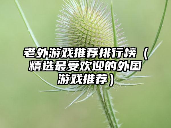 老外游戏推荐排行榜（精选最受欢迎的外国游戏推荐）