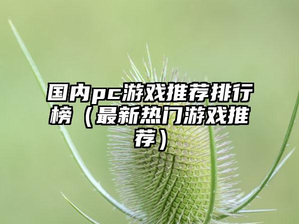 国内pc游戏推荐排行榜（最新热门游戏推荐）