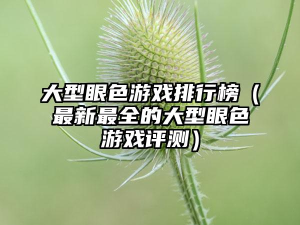 大型眼色游戏排行榜（最新最全的大型眼色游戏评测）