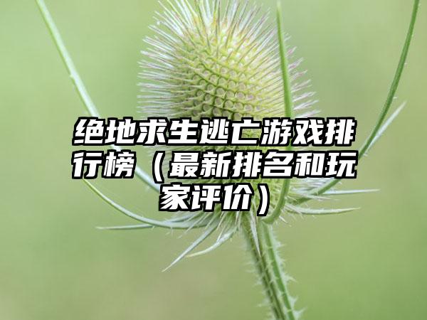 绝地求生逃亡游戏排行榜（最新排名和玩家评价）
