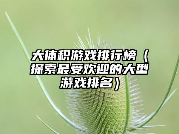 大体积游戏排行榜（探索最受欢迎的大型游戏排名）