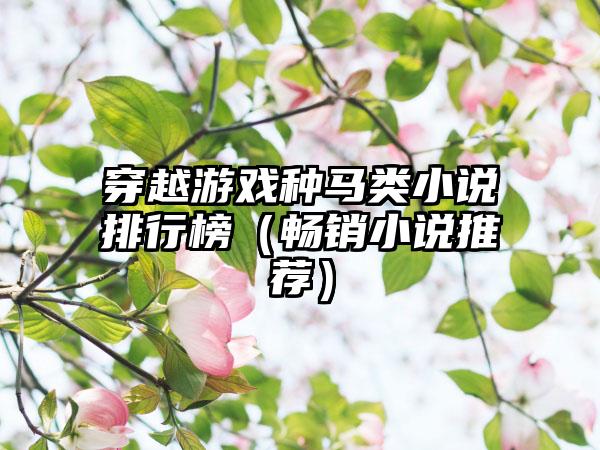 穿越游戏种马类小说排行榜（畅销小说推荐）