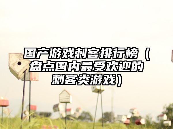 国产游戏刺客排行榜（盘点国内最受欢迎的刺客类游戏）