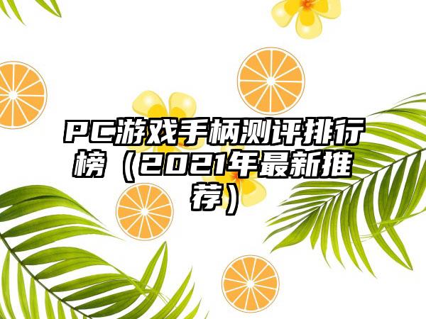 PC游戏手柄测评排行榜（2021年最新推荐）