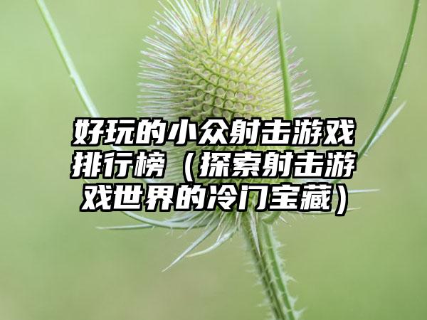 好玩的小众射击游戏排行榜（探索射击游戏世界的冷门宝藏）
