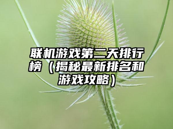 联机游戏第二天排行榜（揭秘最新排名和游戏攻略）